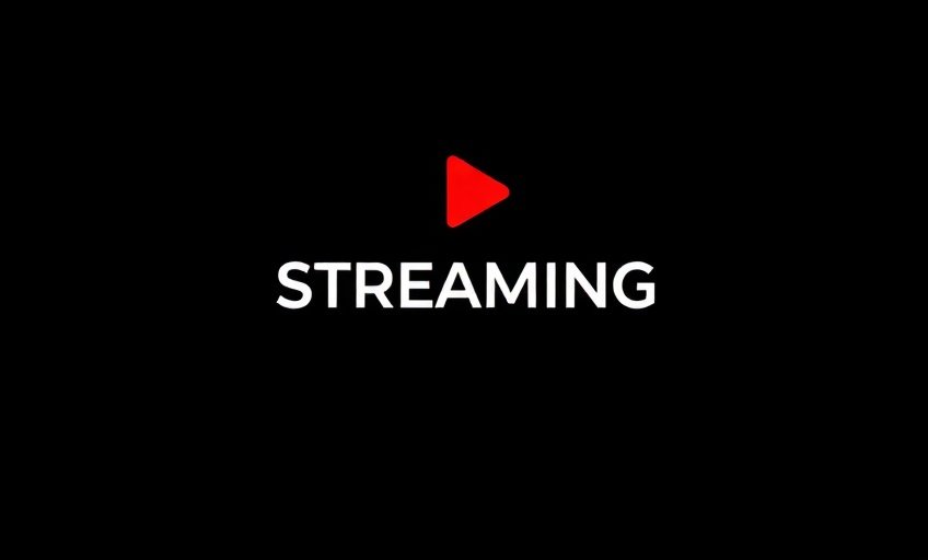 Netflix - 河马影视合作伙伴
